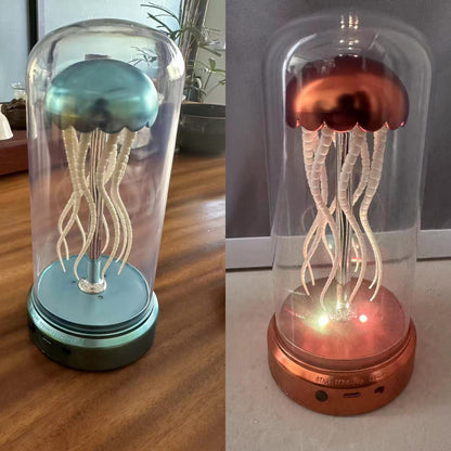 Jellyfish atmosphere light