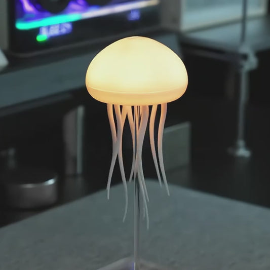 Floating Jellyfish Lamp